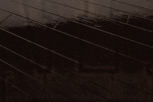 Valpo GIF by Valparaiso University