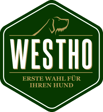 westfalia_jagdreisen giphyupload Sticker