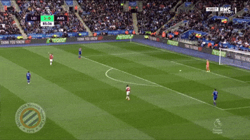 vardy GIF by nss sports
