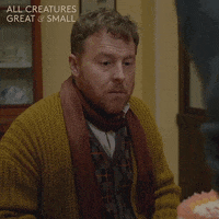 allcreaturestv animals nodding knitting scarf GIF