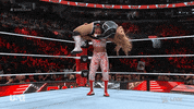 Wwe Wrestling GIF by USA Network