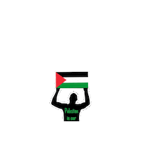 Freedom Dm Sticker