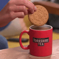 GIF by YorkshireTea