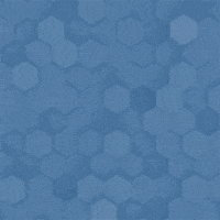 National Womens Soccer League Thumbs Down GIF by Houston Dash