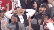 College Basketball Sport GIF by NCAA March Madness