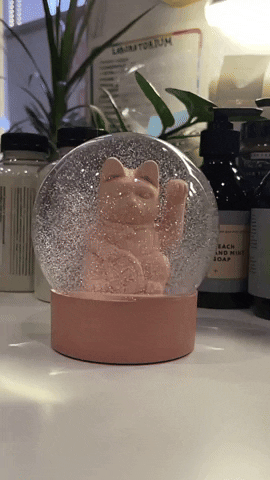 OldBones28 giphyupload GIF
