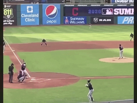 mattpepin giphygifmaker GIF