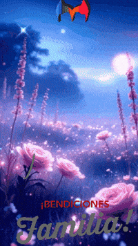 Feliz Amigos GIF by Murcianys LLC