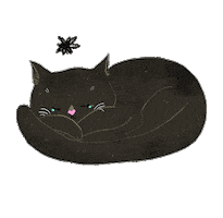 Sad Cat Sticker by Lara Paulussen