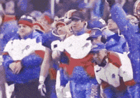 Buffalo Bills Win GIF by The NGB