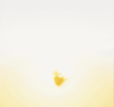 JackChen1210 giphyupload unity shader GIF