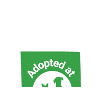 Adoptdontshop Sticker by Berkeley Humane