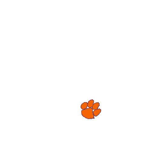 South Carolina College Sticker by Clemson University