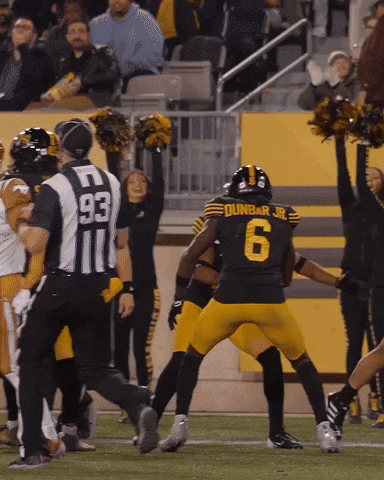 Tiger-Cats Football GIF by Hamilton Sports Group