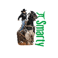 Breakaway Smarty Sticker by SmartyRoping