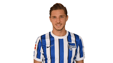 Niklas Stark Facepalm Sticker by Hertha BSC