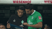 Football Soccer GIF by SV Werder Bremen