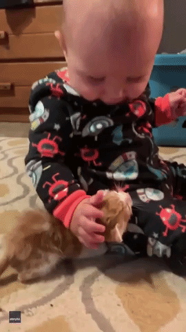 Baby Bonds With Rescue Kitten