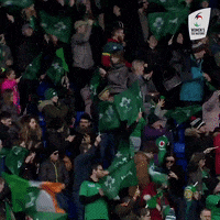 Womens6Nations fan fans womens six nations GIF