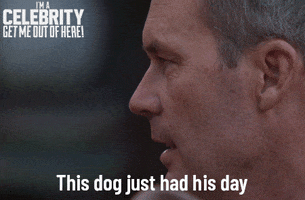 Imacelebrityau GIF by I'm A Celebrity... Get Me Out Of Here! Australia