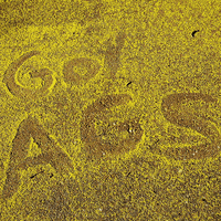 growing college life GIF by UCDavis