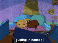 nickrewind nicksplat angry beavers GIF
