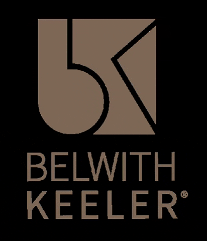 belwith-keeler giphygifmaker GIF