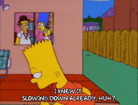 homer simpson episode 6 GIF