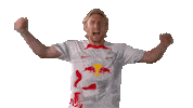 Happy Emil Forsberg Sticker by RB Leipzig