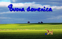 Di GIF