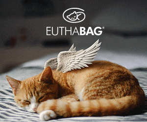 heleneperras giphyupload endoflife euthabag petbodybag GIF