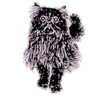 Cat Fashion Sticker by ARIES