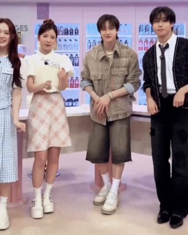 Stray Kids Bang Chan GIF