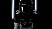 Old Dominion Sport GIF by ODU Football