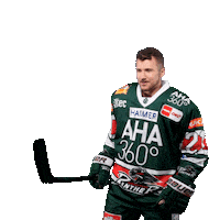 Hockey Celebrating Sticker by Augsburger Panther Eishockey GmbH
