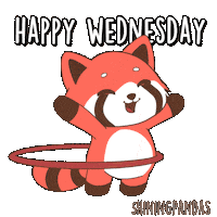 Happy Red Panda Sticker