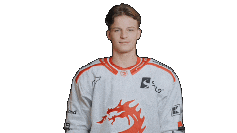 Trinec Sticker by HC Oceláři Třinec