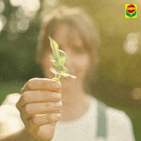 compo garden garten compo GIF