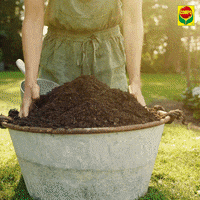 compo garden garten compo GIF