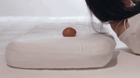 stbb1025 giphygifmaker GIF
