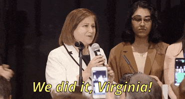 news virginia election 2019 ghazala hashmi GIF