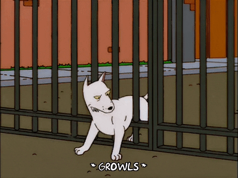 episode 12 GIF