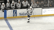 Celebration GIF by Ontario Reign