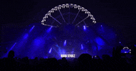 tomorrowland GIF by Robin Schulz