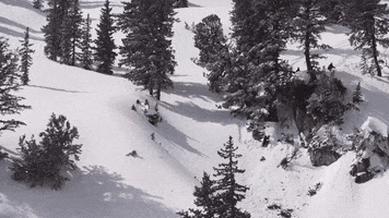 awesome you can do it GIF by X Games 