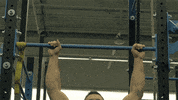 loop musculation GIF by Decathlon