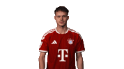 Fc Bayern Football Sticker by Bundesliga