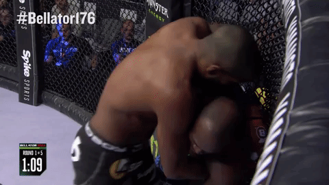 GIF by Bellator