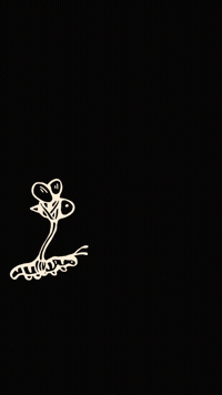 abrahamurias  GIF