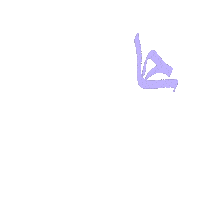 C Cam Sticker